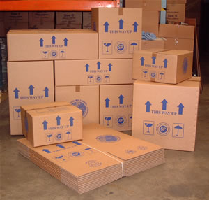 Various Sized Cartons/Boxes